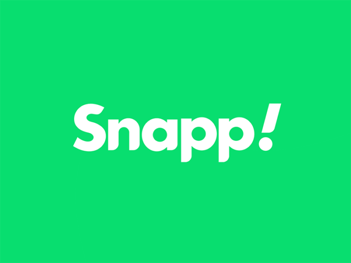 snapp -logo design - welovedesign